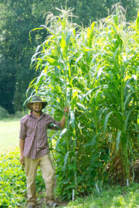 Try Puhwem 'Mother Corn,' a Revered Native American Variety Image